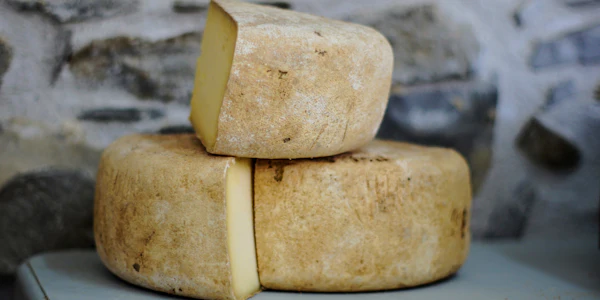 Étude de cas SEO — Marie L., productrice de fromage à Mirepoix